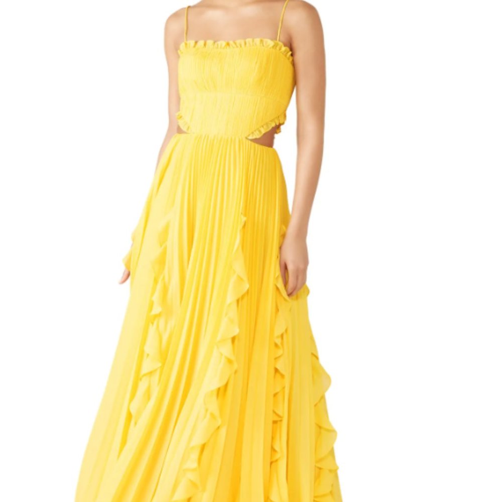 Amur Rayna Maxi Dress